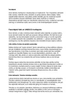 Konspekts 'Seno latviešu vēsture, kultūra, mitoloģija, sabiedrība un kultūras mantojums: ko', 34.