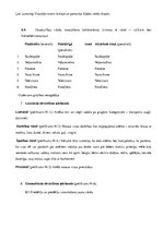 Konspekts 'Bērna runas attīstības un valodas apguves izpēte pirmsskolas vecumā', 11.