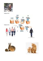 Konspekts 'Bērna runas attīstības un valodas apguves izpēte pirmsskolas vecumā', 19.