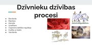 Prezentācija 'Dzīvnieku dzīvības procesi', 2.