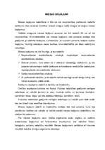 Referāts 'Miesas bojājumu klasifikācija', 1.