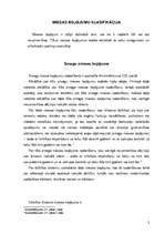 Referāts 'Miesas bojājumu klasifikācija', 3.