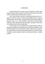 Referāts 'Rokmūzika un tās loma sabiedrībā', 3.