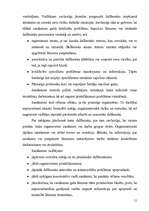 Referāts 'Dienestu darba organizācijas lēmumu pieņemšanas pamatu analītiskā kultūra', 11.
