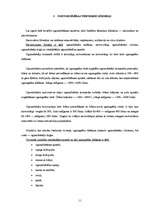 Konspekts 'Ugunsgrēki, to dzēšanas līdzekļi un paņēmieni', 11.