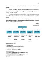 Referāts 'Plānošanas un kontroles sistēmas izveidošana uzņēmumā', 6.