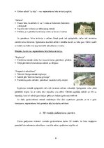 Referāts 'Ēku nojaukšana ar spridzināšanu', 9.