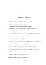 Referāts 'Ēku nojaukšana ar spridzināšanu', 13.