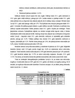 Biznesa plāns 'SIA "Ajde" investīciju plāns', 6.