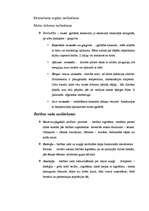 Konspekts 'Gremošanas saslimšanas bērniem', 1.