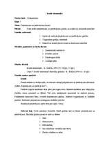 Prakses atskaite 'Valsts kvalifikācijas prakse sociālajās zinībās', 1.