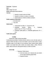 Prakses atskaite 'Valsts kvalifikācijas prakse sociālajās zinībās', 8.