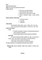 Prakses atskaite 'Valsts kvalifikācijas prakse sociālajās zinībās', 14.