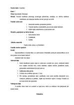 Prakses atskaite 'Valsts kvalifikācijas prakse sociālajās zinībās', 16.