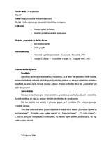 Prakses atskaite 'Valsts kvalifikācijas prakse sociālajās zinībās', 18.