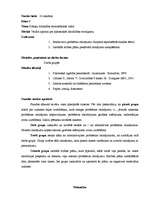 Prakses atskaite 'Valsts kvalifikācijas prakse sociālajās zinībās', 21.