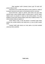 Prakses atskaite 'Valsts kvalifikācijas prakse sociālajās zinībās', 27.