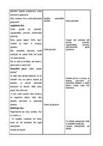 Prakses atskaite 'Valsts kvalifikācijas prakse sociālajās zinībās', 29.