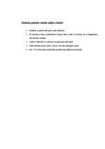 Prakses atskaite 'Valsts kvalifikācijas prakse sociālajās zinībās', 33.