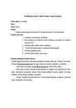 Prakses atskaite 'Valsts kvalifikācijas prakse sociālajās zinībās', 35.