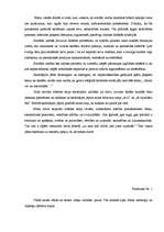 Prakses atskaite 'Valsts kvalifikācijas prakse sociālajās zinībās', 41.