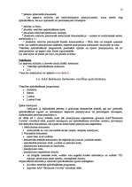 Referāts 'Divu banku un AAS pakalpojumu salīdzināšana', 13.