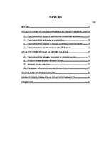 Referāts 'Valsts investīcijas Alūksnes rajonā', 4.