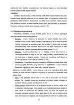 Diplomdarbs 'Vides aizsardzības ideju izpausmes kopjošās kosmētikas iepakojuma dizainā', 16.