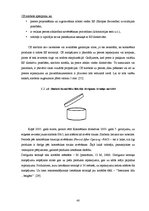 Diplomdarbs 'Vides aizsardzības ideju izpausmes kopjošās kosmētikas iepakojuma dizainā', 40.