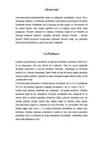 Referāts 'Baltijas jūras piekraste', 7.