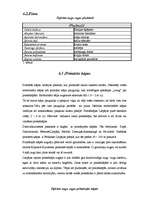 Referāts 'Baltijas jūras piekraste', 8.