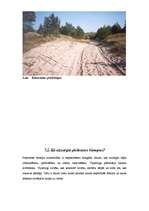 Referāts 'Baltijas jūras piekraste', 19.