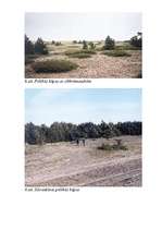 Referāts 'Baltijas jūras piekraste', 30.