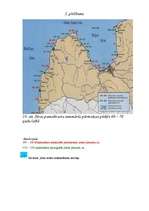 Referāts 'Baltijas jūras piekraste', 34.