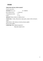 Konspekts 'Grozāms sienas celtnis', 5.