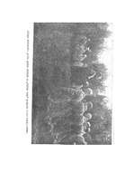 Konspekts 'Nāves sala', 9.