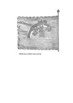 Konspekts 'Nāves sala', 11.