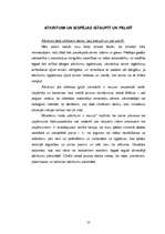 Referāts 'Vides piesārņojums', 10.