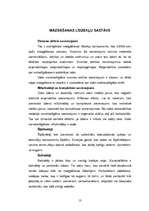 Referāts 'Vides piesārņojums', 13.