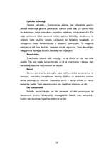 Referāts 'Vides piesārņojums', 14.