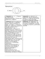 Referāts 'Bedeutungsdifferenzen lettischer und deutscher Fremdwörter', 9.