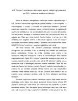 Konspekts 'A/s Dzintars produkcijas realizācijas apjoma pieaugums vietējā tirgū', 1.