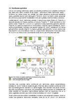 Referāts 'Pārmaiņas AS "Ozols"', 5.