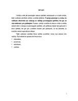 Referāts 'Vadīšanas stili', 1.