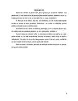 Referāts 'Vadīšanas stili', 6.