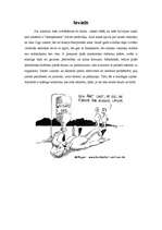 Referāts 'Alkohols', 2.