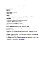 Konspekts 'Stundas gaita 3.klasē. Skaņa', 1.