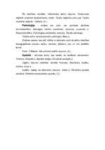 Referāts 'Estētikas kategorijas bloks (radošā procesa kategorija)', 6.