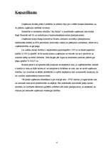 Biznesa plāns 'Biznesa plāns', 4.