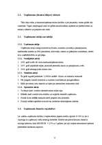 Biznesa plāns 'Biznesa plāns', 6.